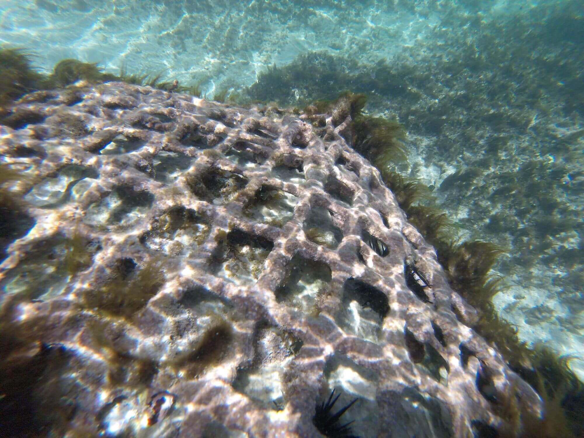 Gabiones marinos para protección costera - Oceanus® International